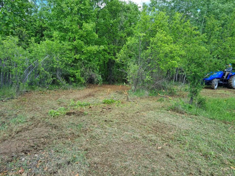 Defrișări Terenuri Agricole