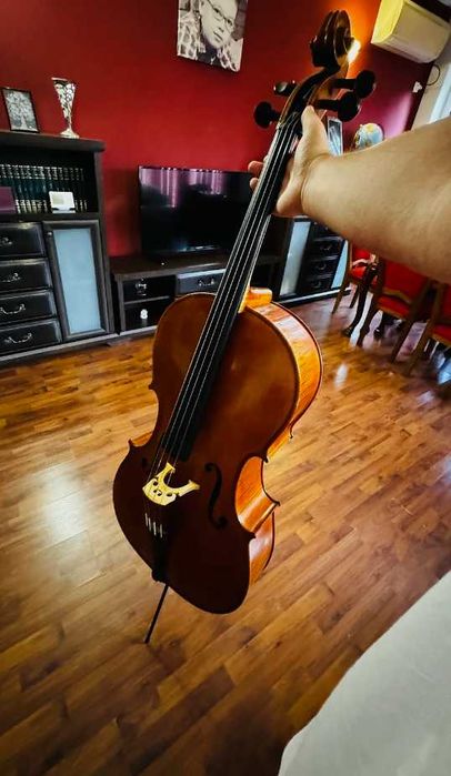 Violoncel Alexandru Ozon