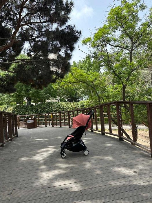 Прокат, аренда брендовых колясок Babyzen YoYo3, Joie, Eazywalker, Anex