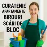 Servicii Curățenie Domiciliu Apartament Birou Debarasari mobila veche