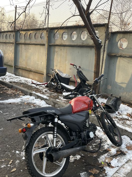 alpha 140cc механика