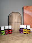 Pachet diffuser Cactus Young Living