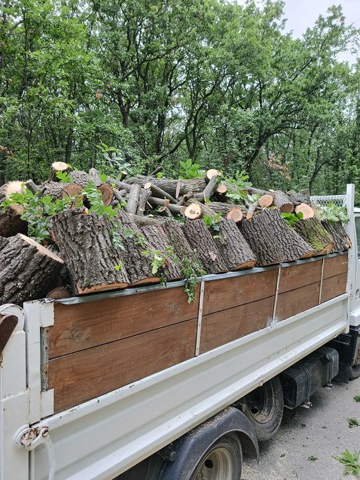 Lemn de foc esență tare (stejar)