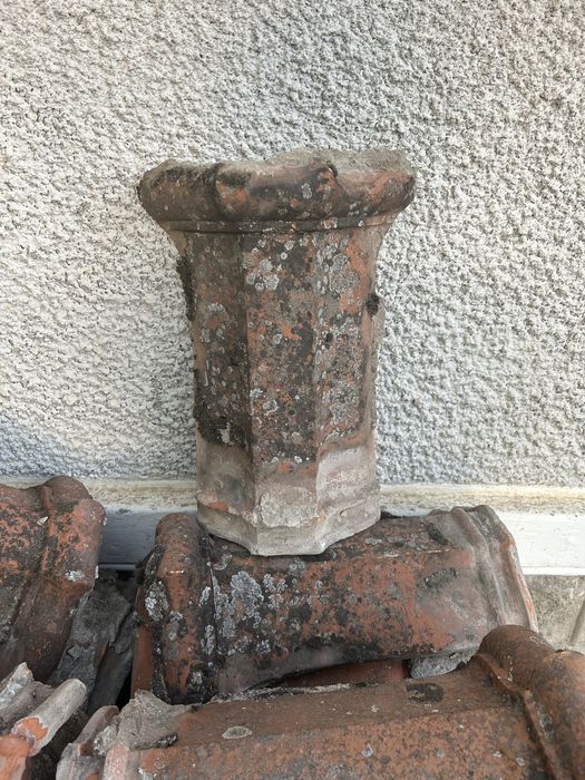 De vanzare coame Jimbolia