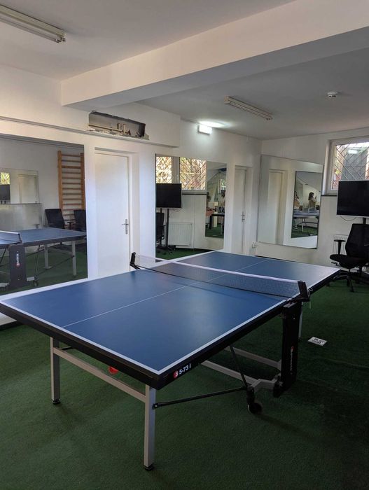 Masa Ping-Pong/prezinta un defect