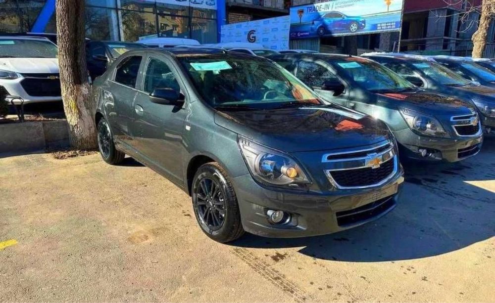 Cobalt 2025 midnight