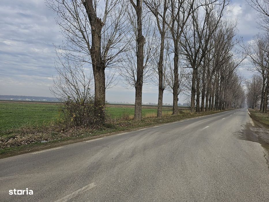 Teren intravilan in Comuna Afumați