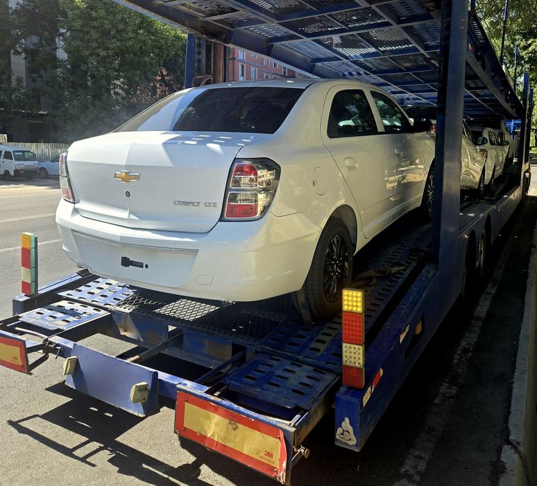 ** cobalt midnight MSM 2026