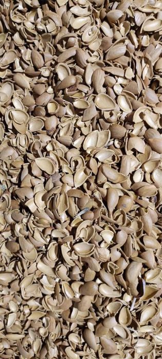 Скорлупа миндаля