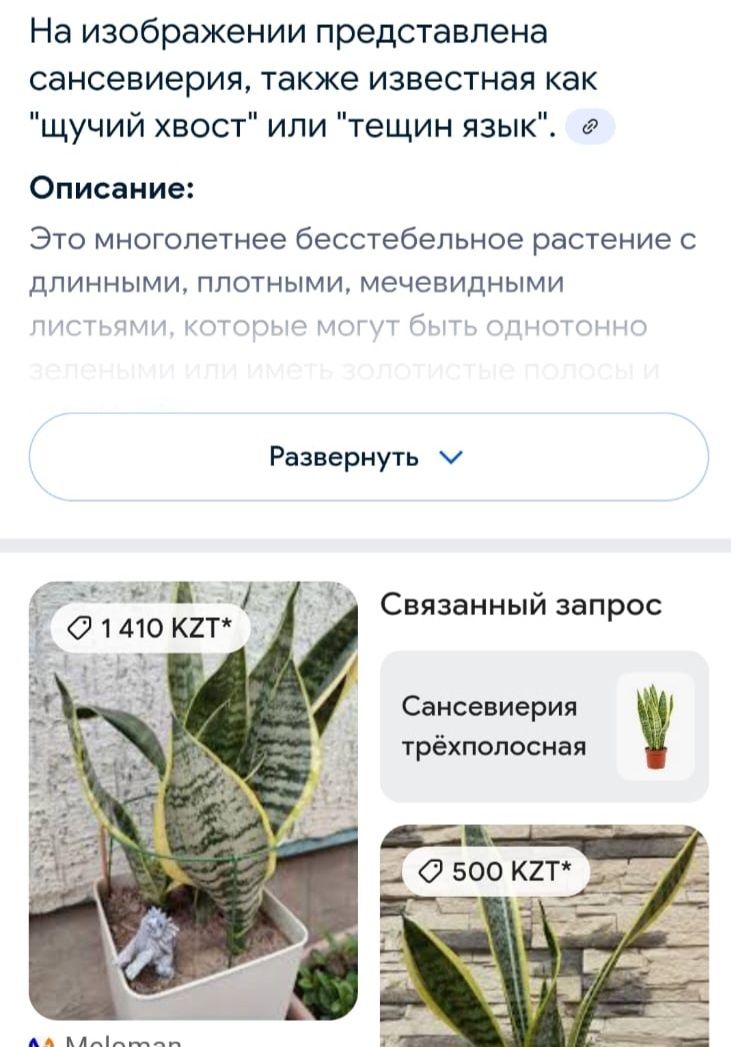 Отдам почти даром.