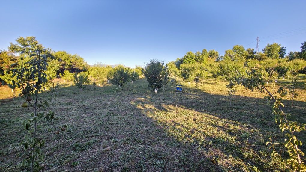 Продават се 7 парцела в кв. Църква, гр. Перник