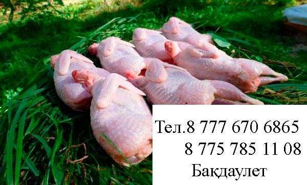 Бөдене еті, Мясо перепелки