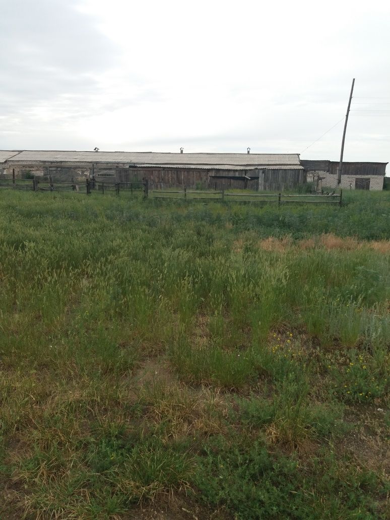 Продам базу бывшего к/х ,площадь 1.5 га ,свет 3 фазы