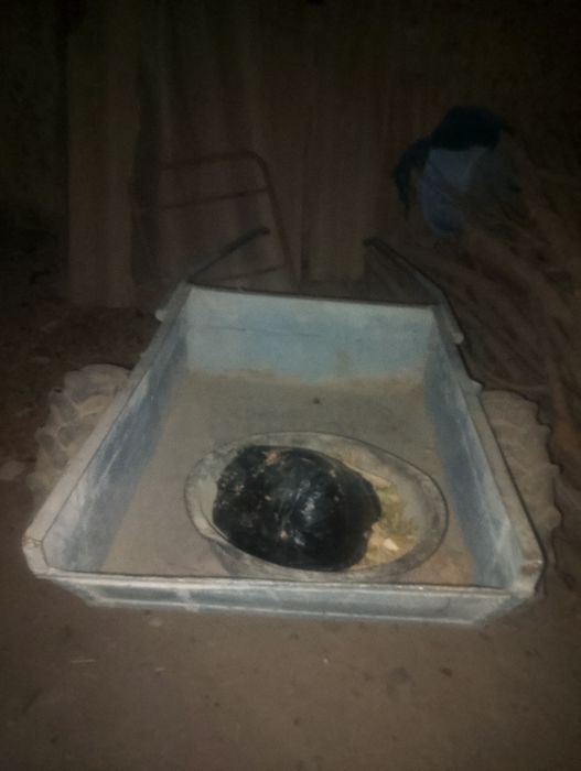 Arava sotiladi yangi