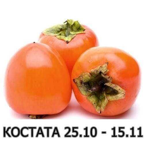 Райска ябълка Налични 4 сорта