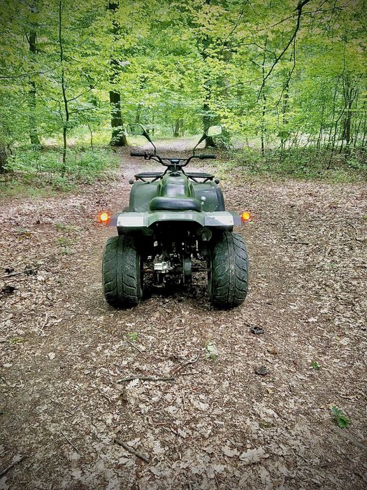 Vand atv adly herkules 200