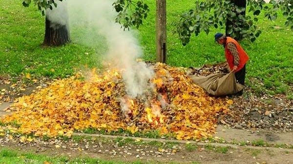 Kunlik ishlar va kochishga va hovli tozalash hizmatlarida yordamchi