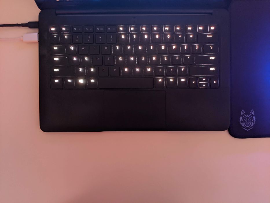 Razer Blade Stealth 13.3