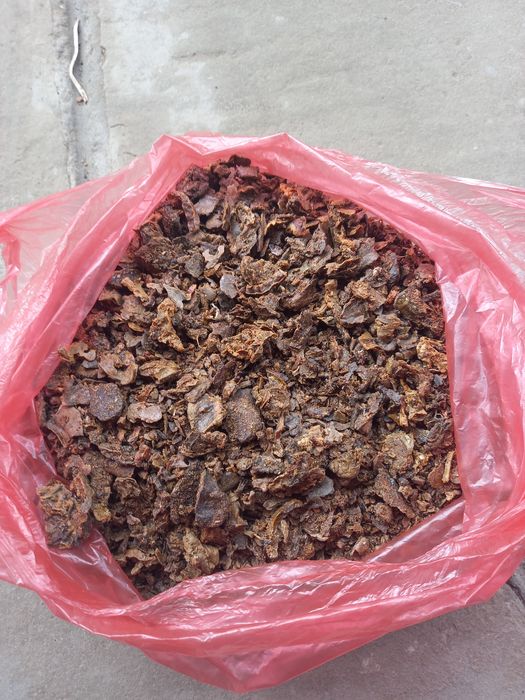 Прополис пчелен клей