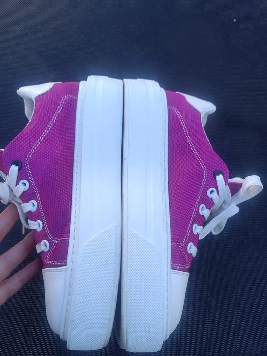 Кецове Daris циклама