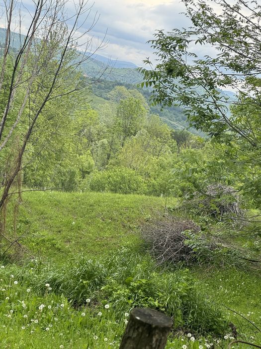 Teren intravilan Breaza/ Prahova