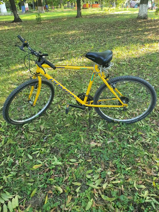 Bicicleta Domain