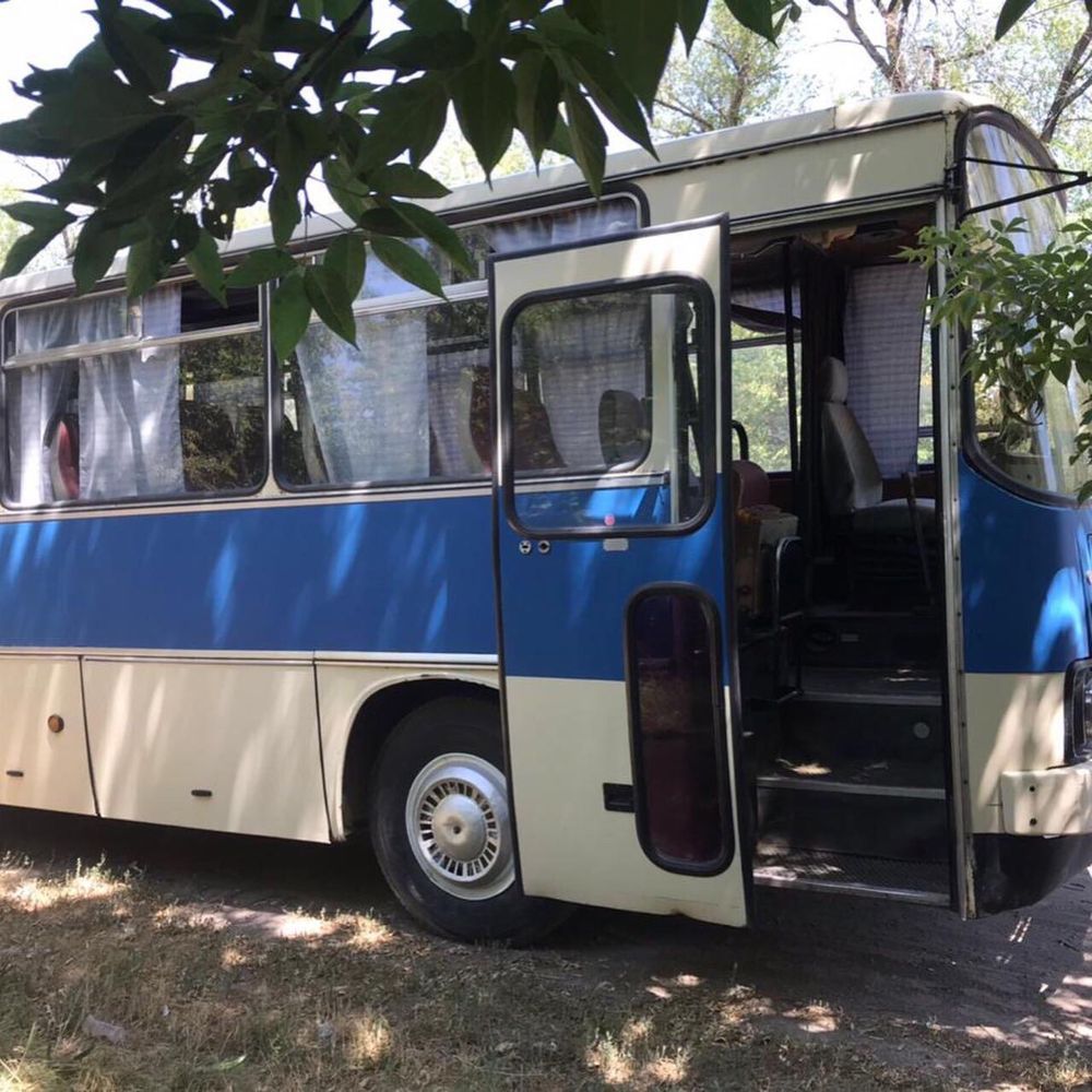 Икарус 256 ретро автобус ретро авто СССР советский ретро