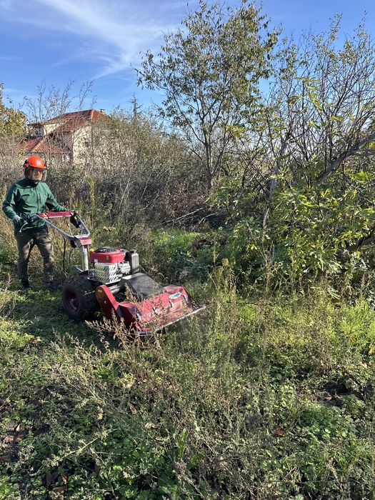 Почистване на дворове, парцели, овощни градини, солари с мулчер