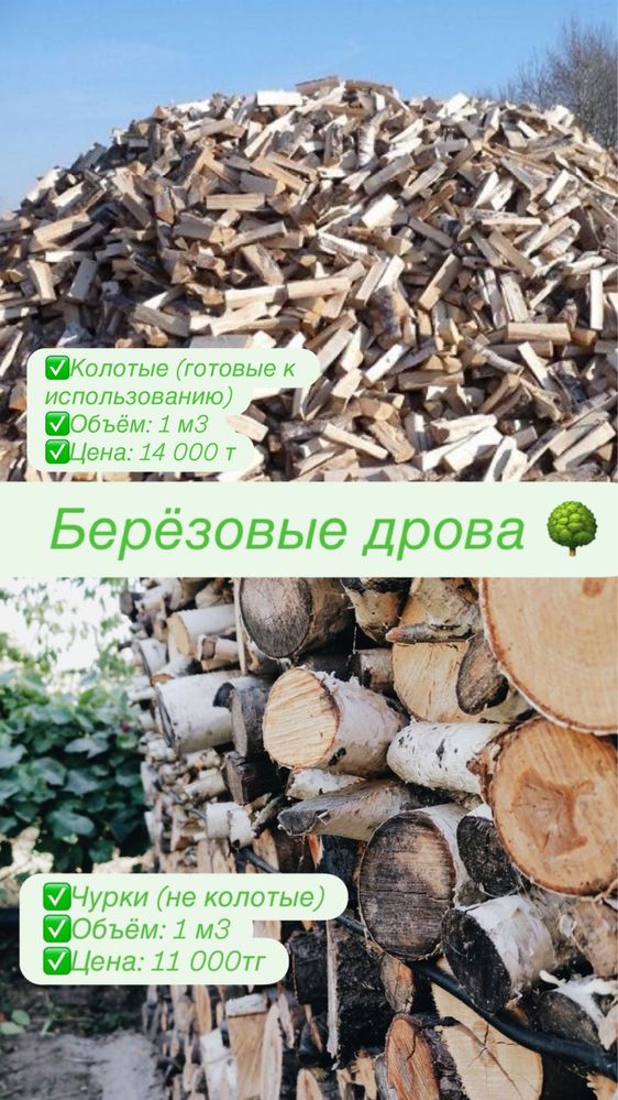 Дрова береза.