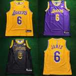 Мъжки баскетболен потник Lakers LJ 6 Nike jordan LeBron James