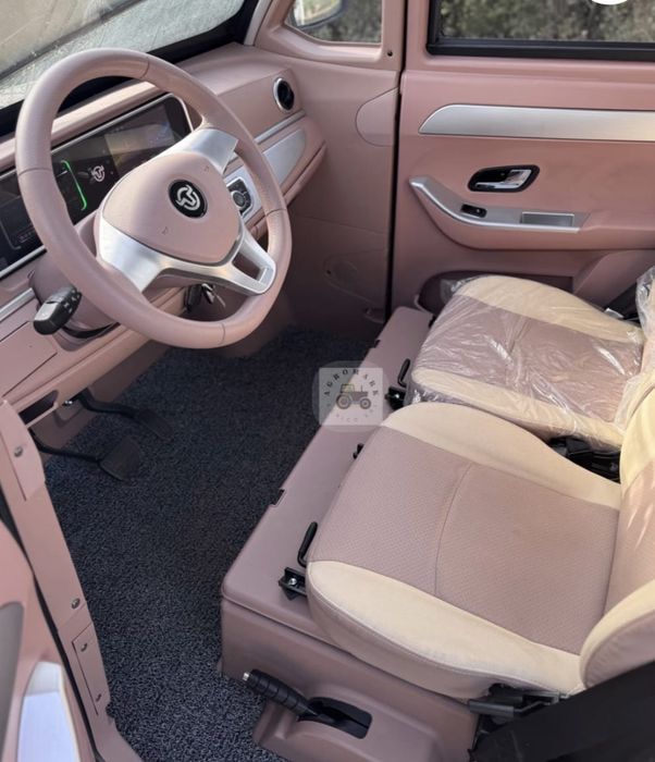 Masina Electrica RDB Smart