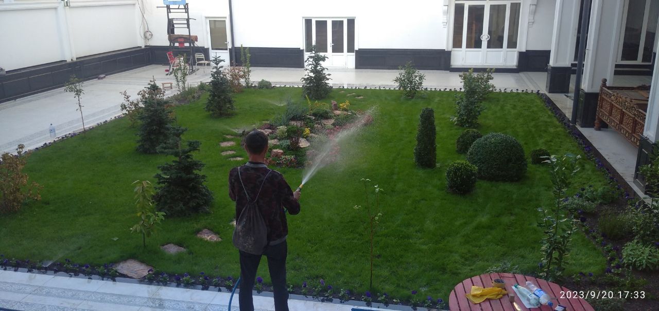 Ruloniy gazon lanshaft dizayin