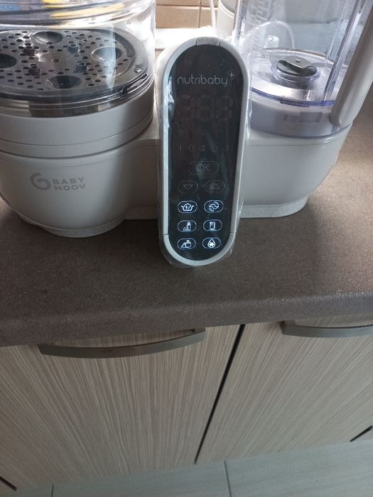 Robot multifunctional 5in1 BABYMOOV, 2200ml, 500W,