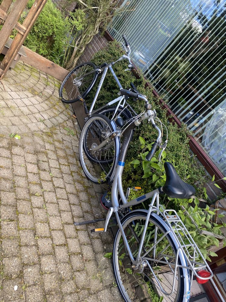 Biciclete import Olanda