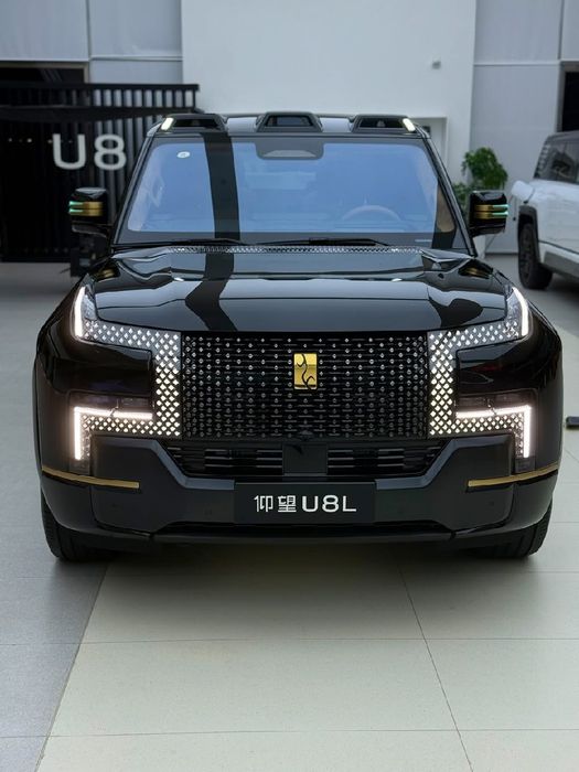 Yang Wang U 8 L CIP