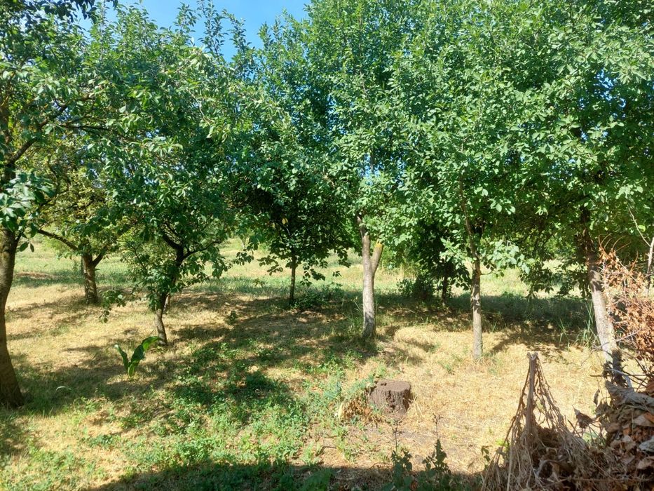 Casa de vanzare in Frata, jud.Cluj