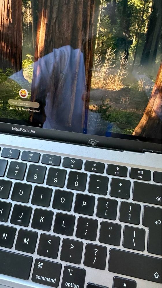MacBook Air 2020 8/256 GB