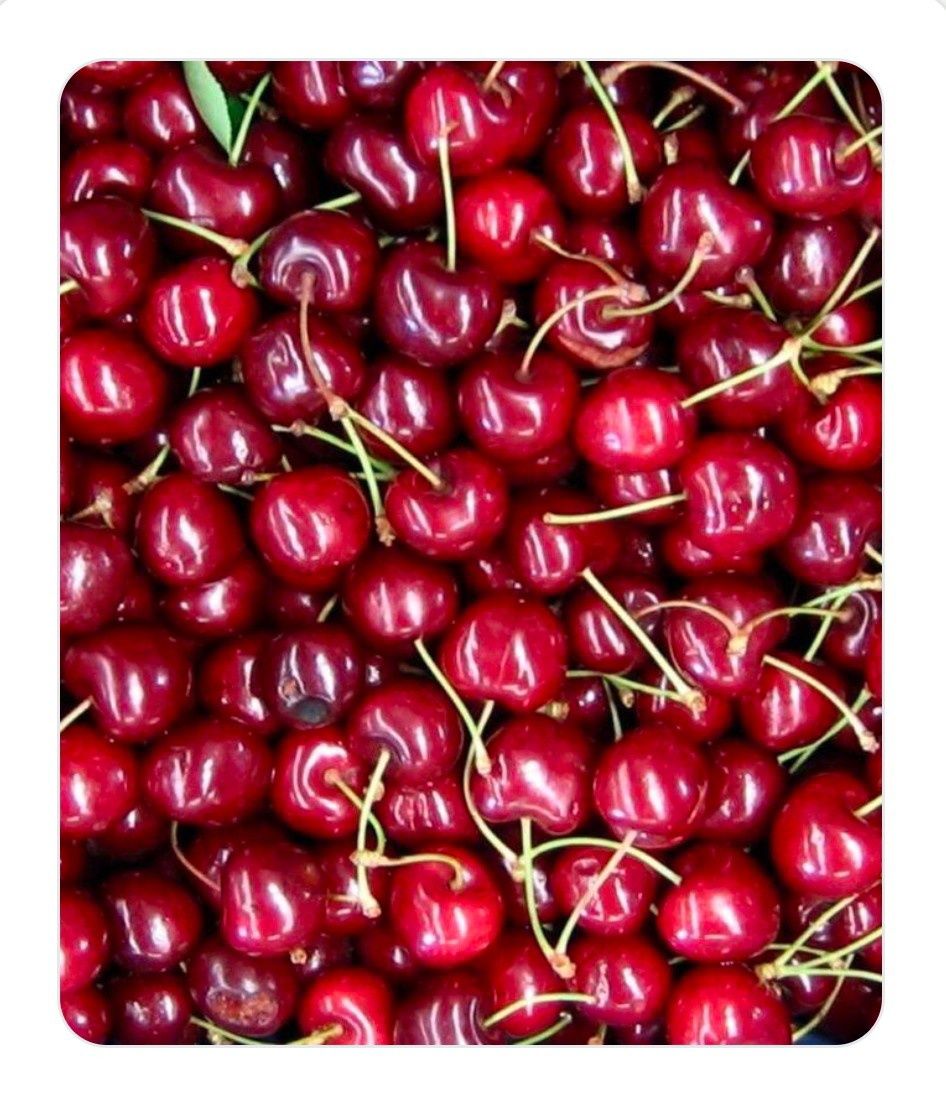 Продам дачную вишню