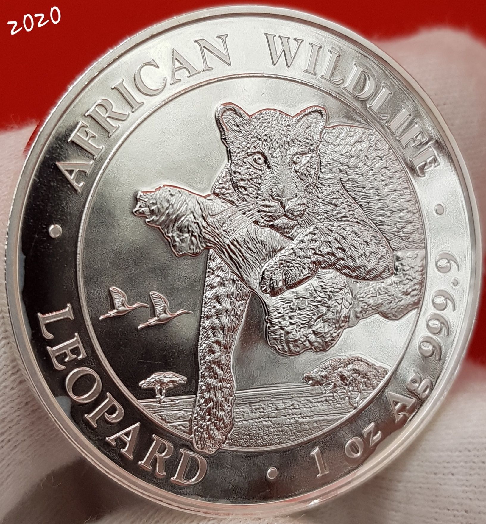 Somalia Leopardul TOATA monede argint lingou 999