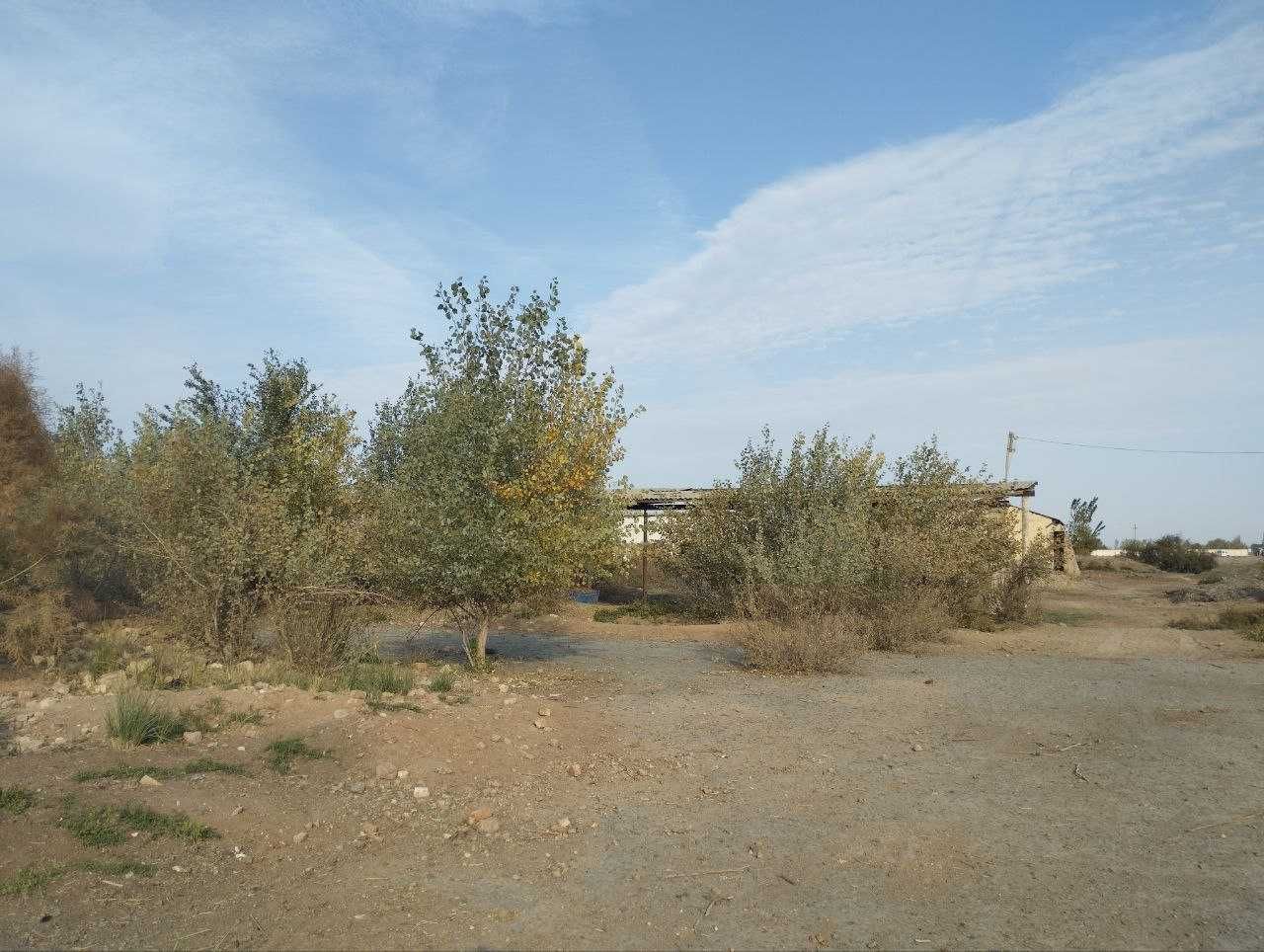 Xonqada molxona bino va inshootlar bolib tolash asosida sotilmoqda