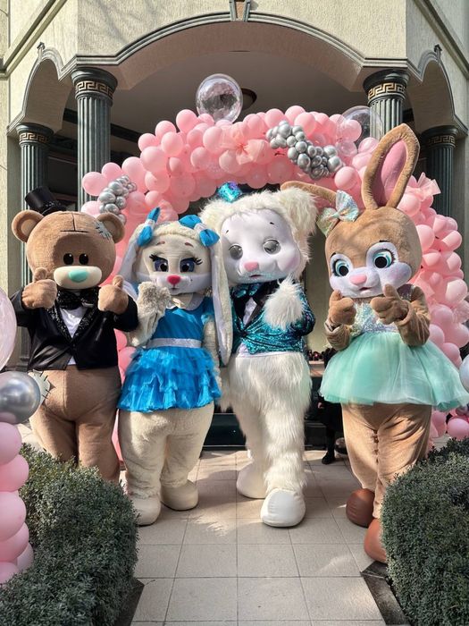 Ростовые куклы, Аниматоры, оформление шарами