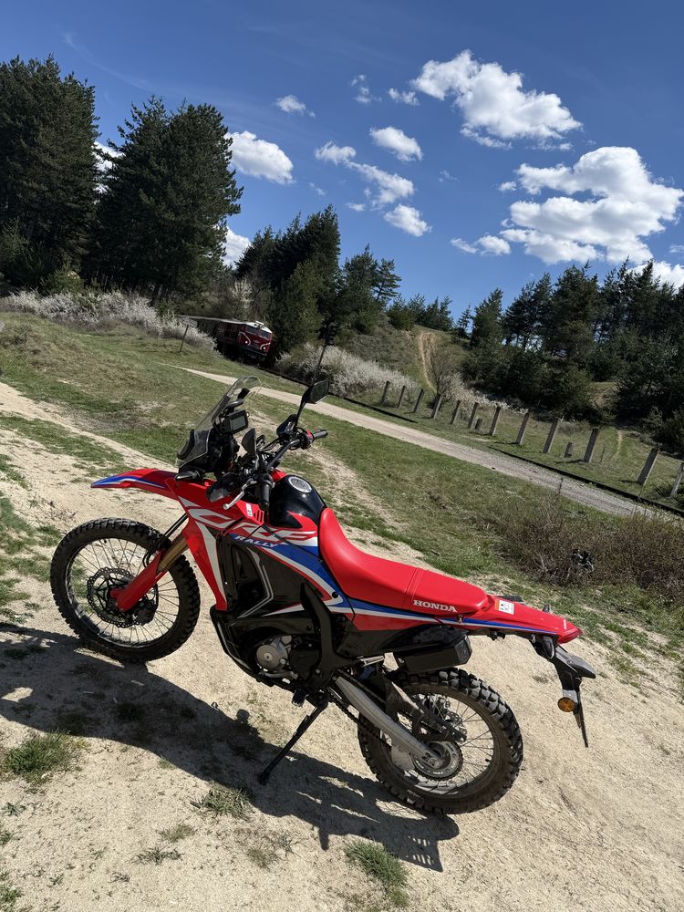 Honda crf 300 rally