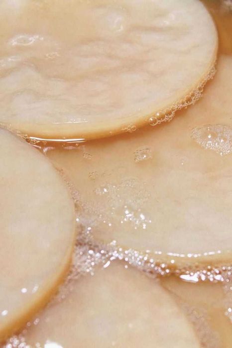 Kombucha SCOBY (ciuperca) + lichid starter + ghid utilizare cu imagini