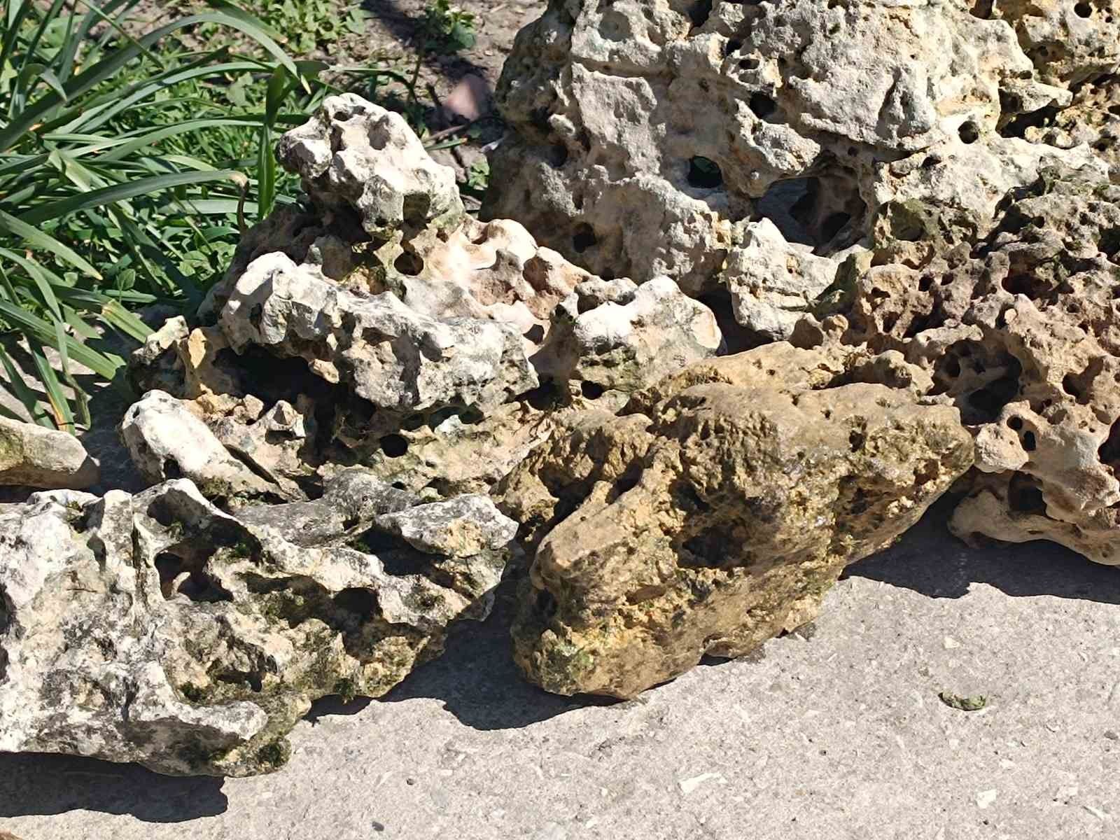 Естествени камъни за аквариуми и езеро