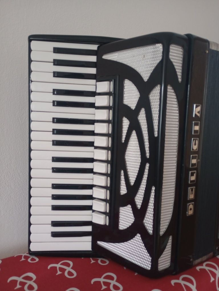 Acordeon Delicia 2+2