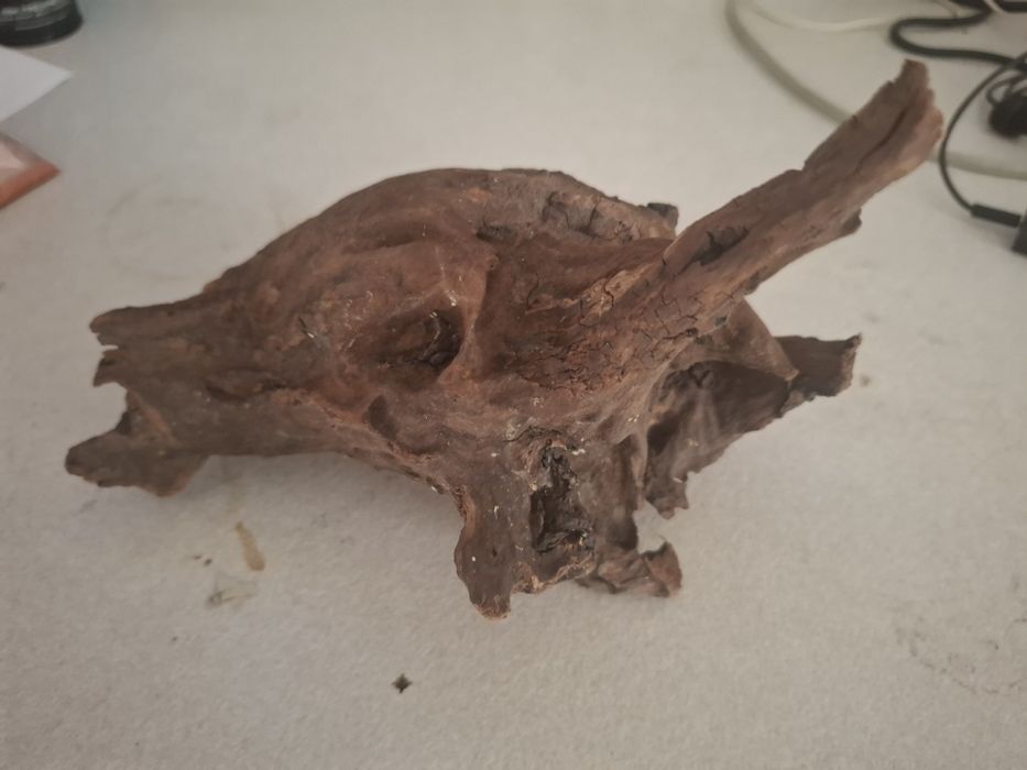 Radacina pentru terariu