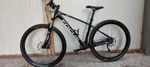 Focus raven carbon 29 "