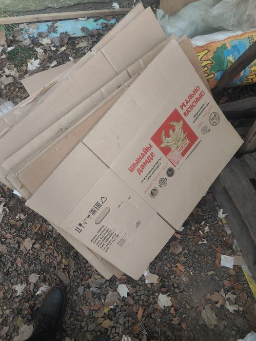 Коробки из под яиц большие пустые