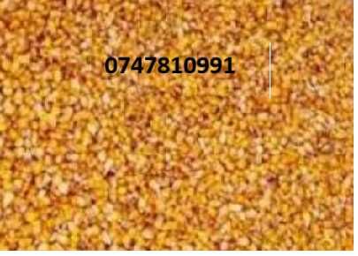 Porumb boabe, orz, ovaz, grau