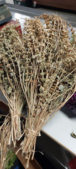 Busuioc pt ceai sau botez